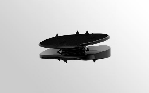 baguera-l